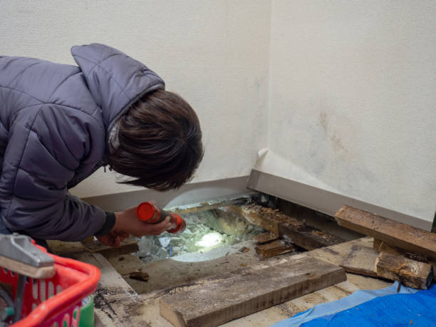 Best Residential Mold Inspection & Testing  in Cabin John, MD