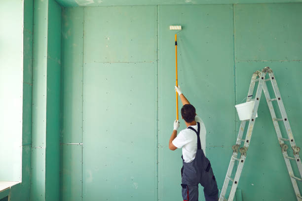 Cabin John, MD Mold Removal Company