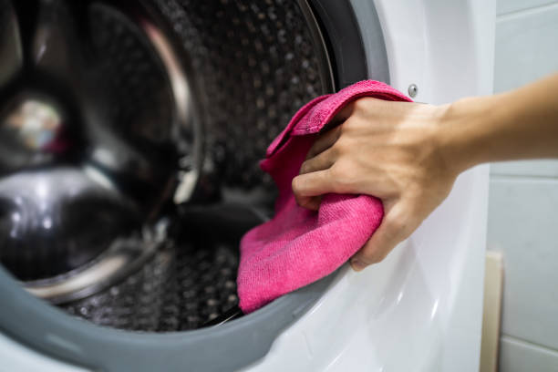 Best Mold Odor Removal Services  in Cabin John, MD