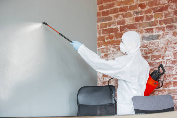Best Mold Remediation for Vacation Homes  in Cabin John, MD