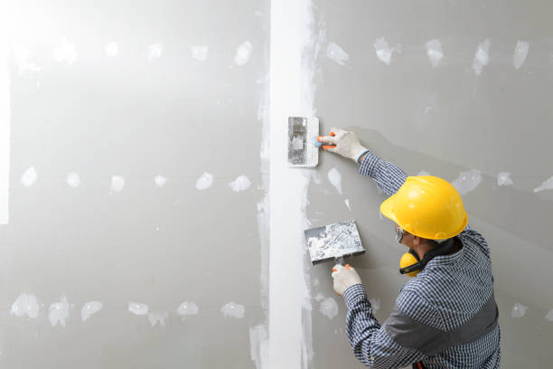 Best Mold-Related Health Consultation  in Cabin John, MD