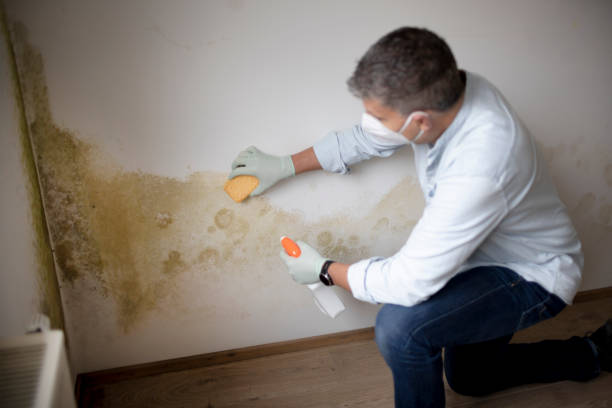 Best Air Quality Testing for Mold Spores  in Cabin John, MD