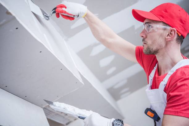 Best Mold Prevention Services  in Cabin John, MD