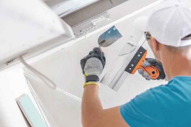 Best Emergency Mold Remediation  in Cabin John, MD